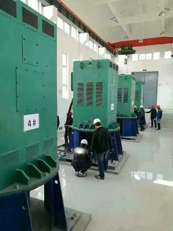 黄山某污水处理厂使用我厂的立式高压电机安装现场